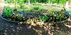 8_0406.jpg 8_0406.jpg