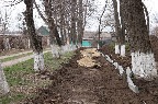 photo_2025-03-17_09-10-32.jpg