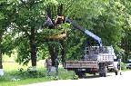 1_0406.jpg 1_0406.jpg