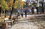 цу511.jpg