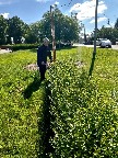 10_0406.jpg 10_0406.jpg