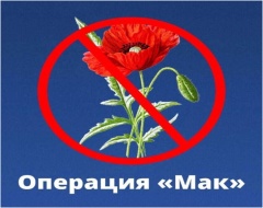 Всероссийская оперативно-профилактическая операция «Мак-2023»