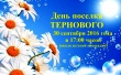 День поселка Тернового.