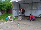 цук47.jpg