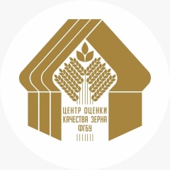 Мониторинг пшеницы в 2024 году.