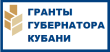 Реализация социально-значимых проектов.