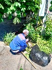 9_0406.jpg 9_0406.jpg