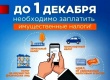 Имущественные налоги за 2024 год нужно оплатить до 1 декабря 2025 года.